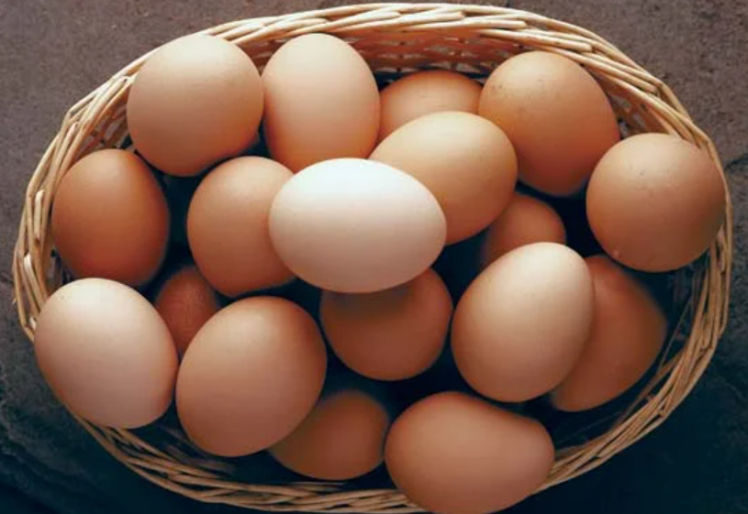 تخم مرغ پاستوریزه و هموژنیزه با التراسونیک