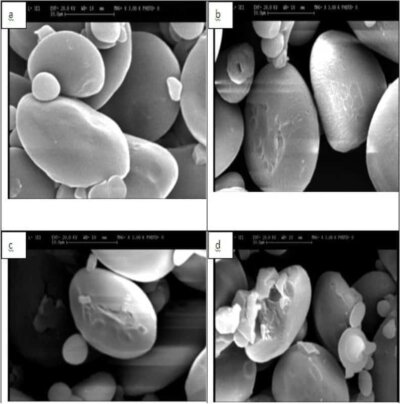 اصلاح فیزیکی نشاسته